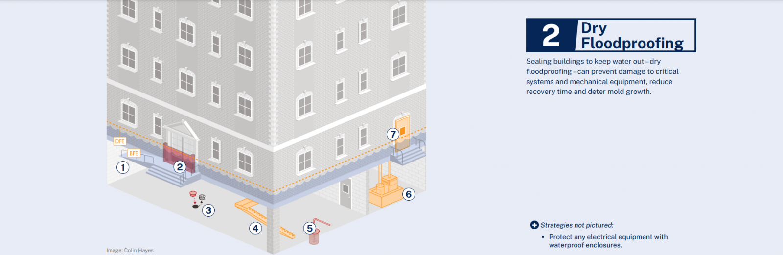 Illustration of a large multi-story brick building with labeled flood protection features demonstrating Dry Floodproofing. Two elevation markers on the left indicate BFE (Base Flood Elevation) and DFE (Design Flood Elevation), with a blue waterline and orange dashed barrier line wrapping around the building at the DFE level. Seven numbered features highlight dry floodproofing techniques:  Floodwalls – Exterior barriers prevent water from reaching the building.  Flood shields or barriers – Red shield covers an entryway to block water from doors and windows.  Backflow preventers – A small valve system near the street prevents sewage or stormwater from backing into the building.  Structural reinforcement – Orange-braced beams below grade show structural strengthening against hydrostatic pressure.  Sump pump – Red hand-pump icon indicating water removal systems for internal drainage.  Elevated mechanical systems – Large mechanical equipment is raised above flood level in a protected room.  Sealed doors and windows – Reinforced and watertight openings protect building interiors.  On the right, a large heading reads: “2. Dry Floodproofing” Text explains that sealing buildings to keep water out can prevent damage to critical systems and mechanical equipment, reduce recovery time, and deter mold growth.  At the bottom right, a note titled “Strategies not pictured:” includes:  “Protect any electrical equipment with waterproof enclosures.”